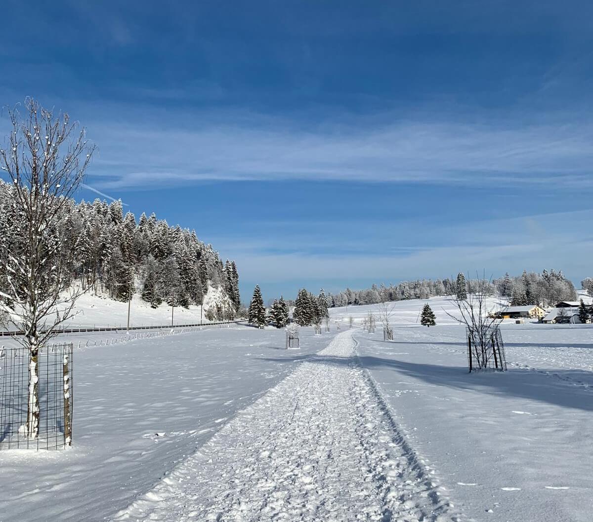 hiver2