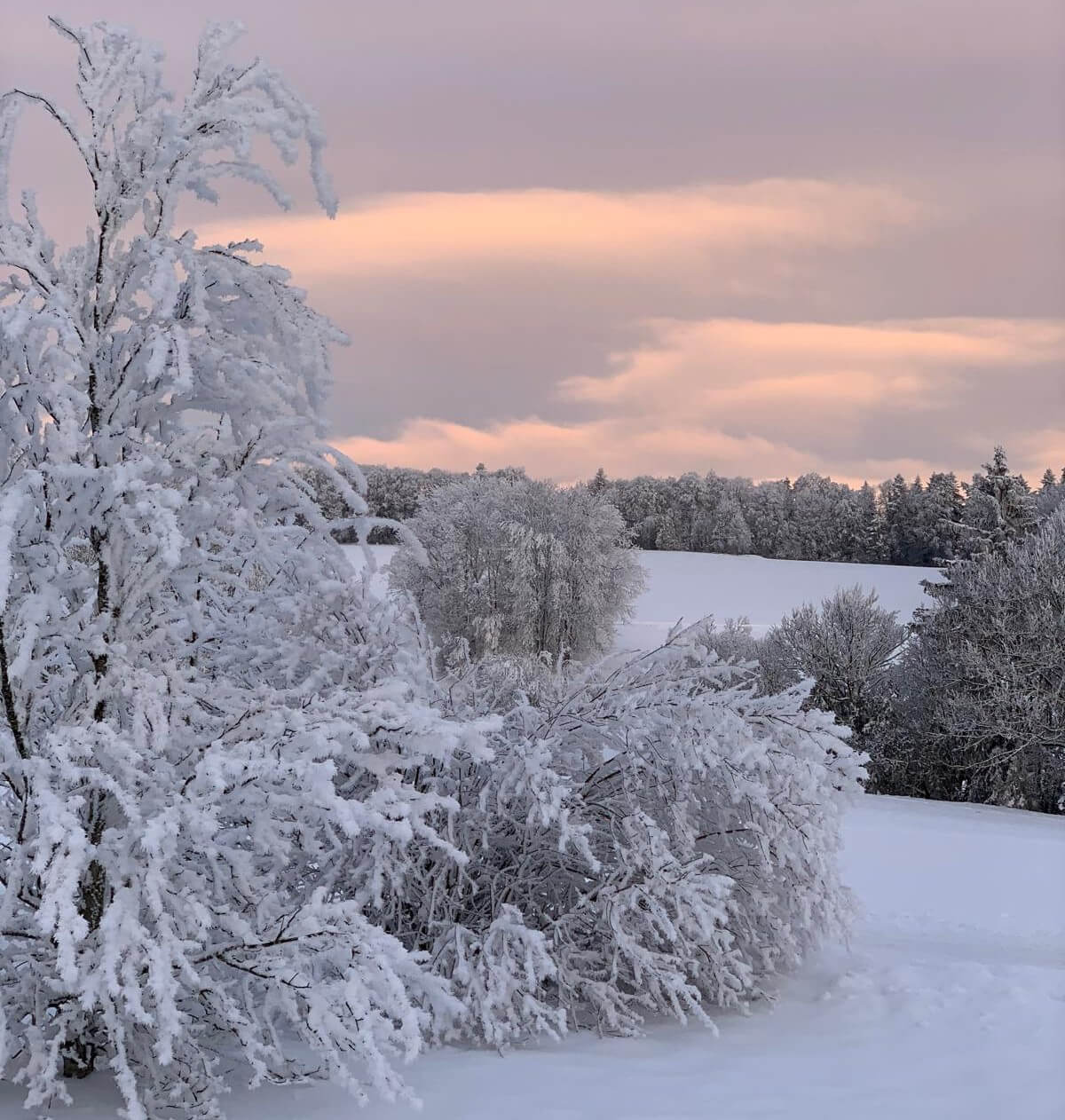 hiver3