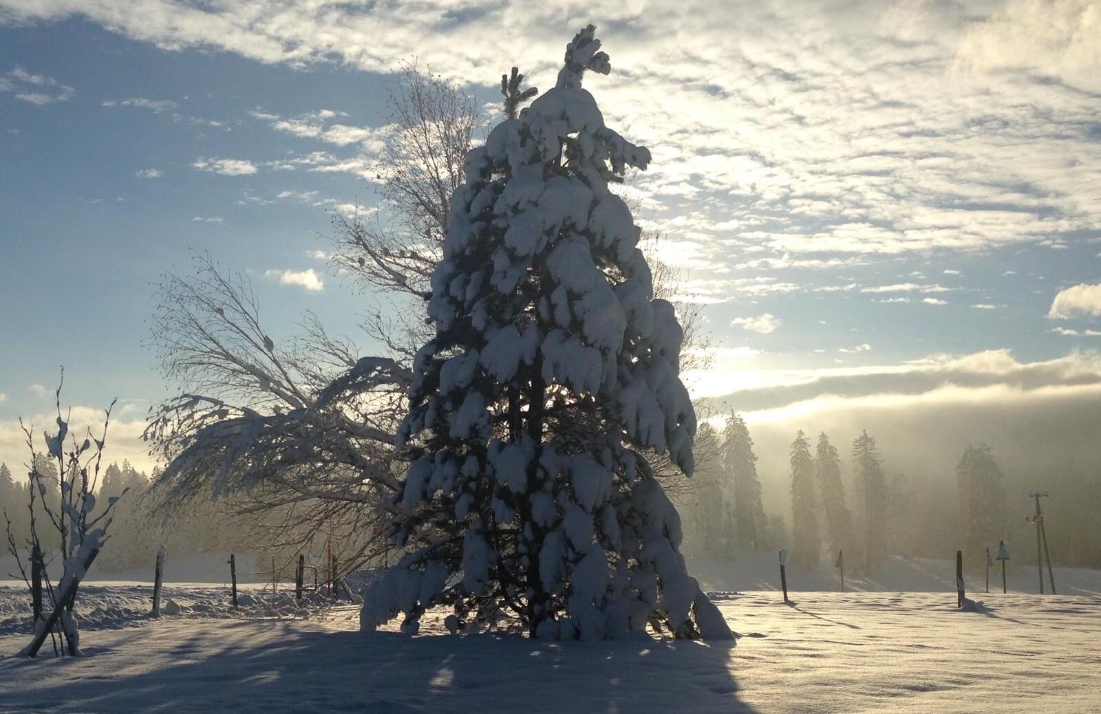 hiver5